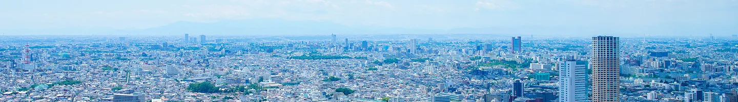 組織罰についてmv