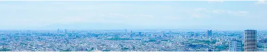 組織罰についてmv